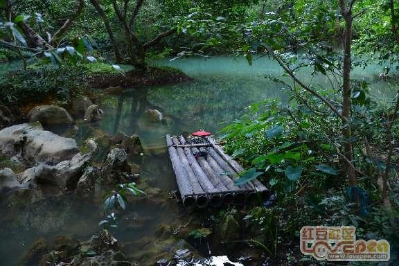 走种养结合的路子，聊城种粮大户陈树行管的地投入减少但收入增长