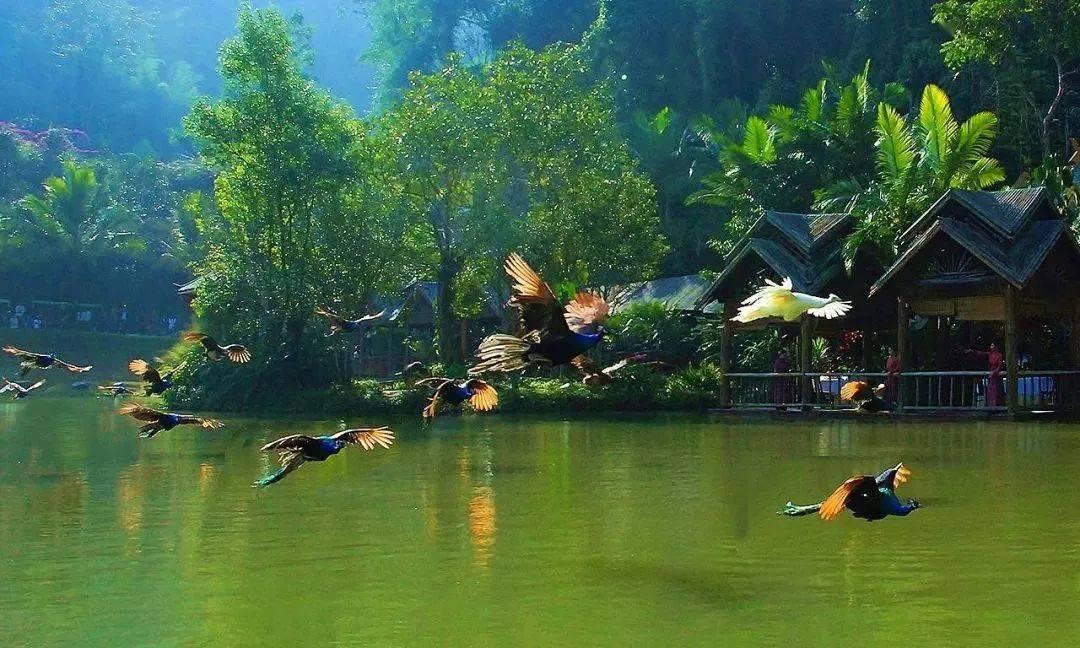 鲁西化工(000830.SZ)发预减，预计2023年度净利润7.8亿元至8.8亿元，同比下降75.28%-72.11%